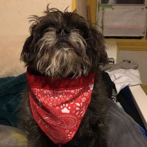 Meet your Posher, Zack